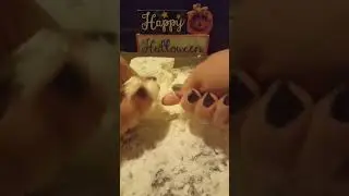 ASMR loud baking soda crunch topped with a comet crumble&loud satisfying powder play on paper