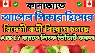 কানাডা ফ্রি ভিসা | আপেল পিকার হিসাবে | IELTS ছাড়া, ডিগ্রী ছাড়া, সার্টিফিকেট ছাড়া #canada