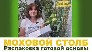 МОХОВАЯ ОПОРА (ТОТЕМ). Часть 4. Распаковка основы под моховую опору