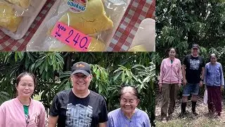 B2B Energy visit to a Durian Farm 2024