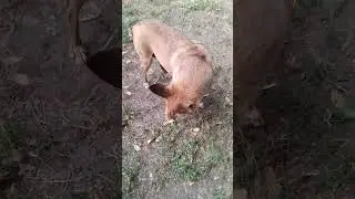 ЧТО С НЕЙ СЛУЧИЛОСЬ?