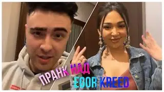Егора Крида Пранканули в Ташкенте / Пранк над Egor Kreed #Shorts