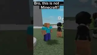 This is not Minecraft 💀