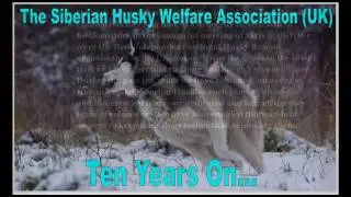 SHWAUK   Ten Years On