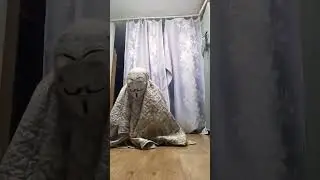 Снюсоед 2021