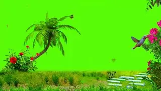 Green Screen Effect Status Video Green Screen Video Green Screen Video Status
