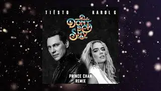 Tiesto, Karol G - Don't Be Shy (PR!NCE CHAN Festival Remix)