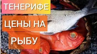 Food in Tenerife. Fish Prices. Fresh Fish and Seafood on Tenerife. Canary Islands