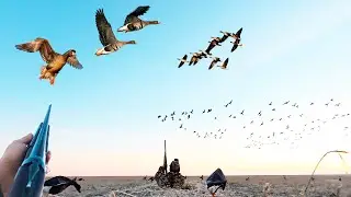 THE HUNTING I'VE ALWAYS DREAMED OF! Geese were falling into the blind. A true hunting frenzy, bea...