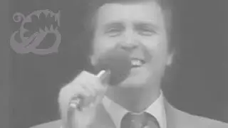 Соловьиная роща ♫ на губной гармошке