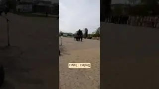 7 мая 2024 г.