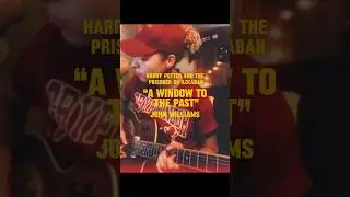 Acoustic folk Harry Potter! A window to the past cover #folkmusic #harrypotter #folkguitar