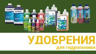 Готовые удобрения для гидропоники: разновидности, на что обратить внимание, плюсы и минусы
