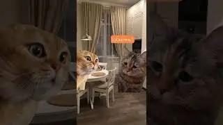 Лучший подарок на 23 февраля!