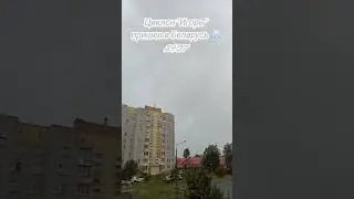 29 июля 2024 г.