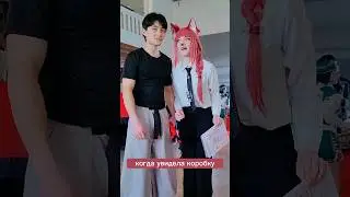 Реакция кошки на коробку 