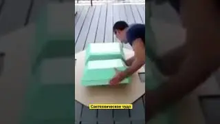 Сантехническое чудо