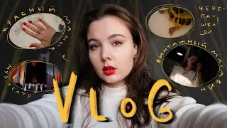 Vlog🍓разговор с блогером детства 🫂 день красного цвета ❤️