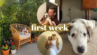 FIRST FULL WEEK WITH OUR NEW PUPPY!