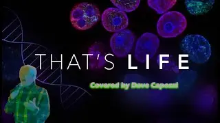 THAT'S LIFE  cover by DAVE CAPOZZI.  Frank Sinatra's mantra!