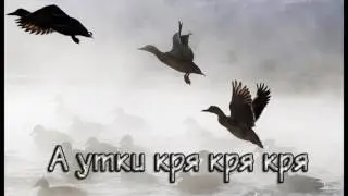 А утки кря кря кря