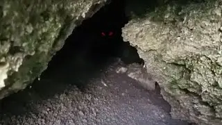 Не нужно было заглядывать в эту пещеру