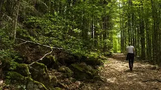 Hike to the mountain Großer Falkenstein in the Bavarian Forest