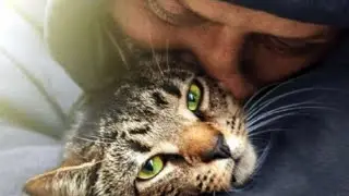 Filmkritik zu Cat Daddies: Freunde für sieben Leben