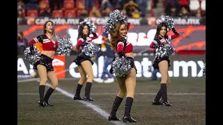 AZUKITA - XOLOGIRLS