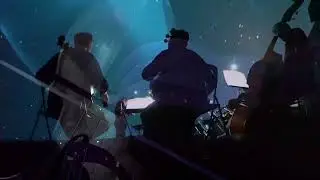 Ludovico Einaudi - Petricor В исполнении камерного оркестра // NÉORCHESTRA