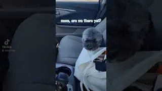 mom, are we there yet?