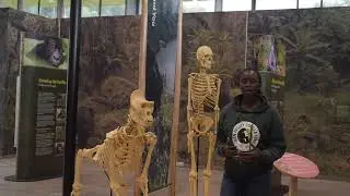 Virtual Tour of the Ellen Campus | Dian Fossey Gorilla Fund
