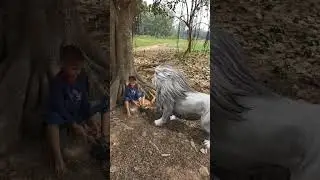 Lion 🦁 vs baby 🍼 