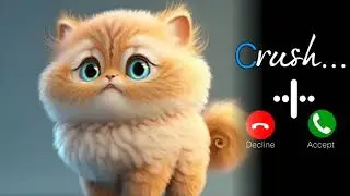 Good Morning Ringtone | Message ringtone | message tone | phone ringtone | Only Ringtone