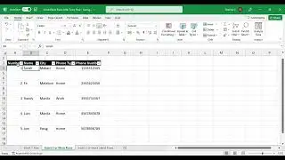 Insert Blank Rows After Every Row in Excel