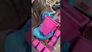 Посадка гортензий п9