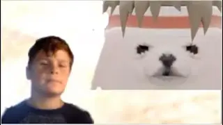 Reacting To Egg Dog Videos