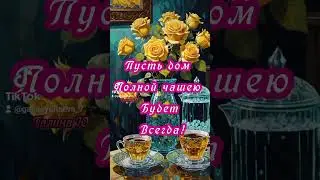 Добрый Вечер