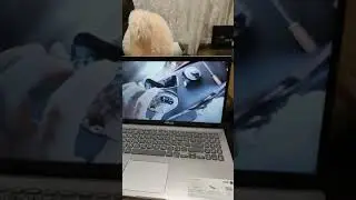 О ремонте сигнала на Ford Fusion