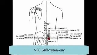 V30 Бай-хуань-шу