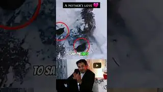 It Has Worked Better Than Humans,Write about mother 💔 #shorts #short #viral