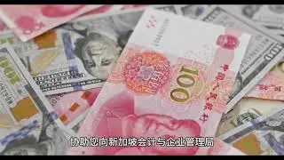移居新加坡所需的要点 /  Points you need to relocate to Singapore