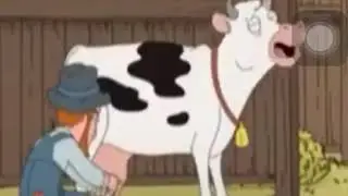 Wow a talking cow