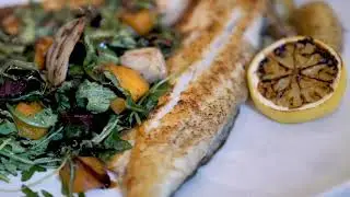 LouRonzo's Commercial - A Great Dine Experience For Everyone