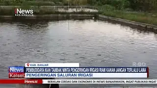 PEMBUDIDAYA IKAN TAMBAK MINTA PENGERINGAN IRIGASI RIAM KANAN JANGAN TERLALU LAMA