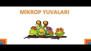 Günlük Hayatımızda Kullandığımız Mikrop Yuvaları