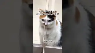 Жарти від Ярни!❤️