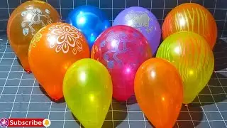 Fun Popping Lots Of BalloonsAnimals Edition!!!Part-124 #asmr#fun #balloonpop #balloonpopping
