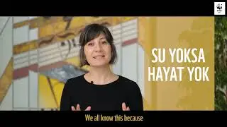 The Cycles On Our Planet: Water