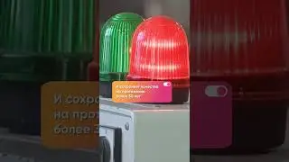 Полимерная пленка из Петербурга